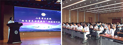 图片8.jpg 图片8.jpg