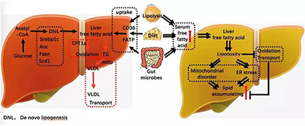 微信图片_20191106094000.jpg 微信图片_20191106094000.jpg