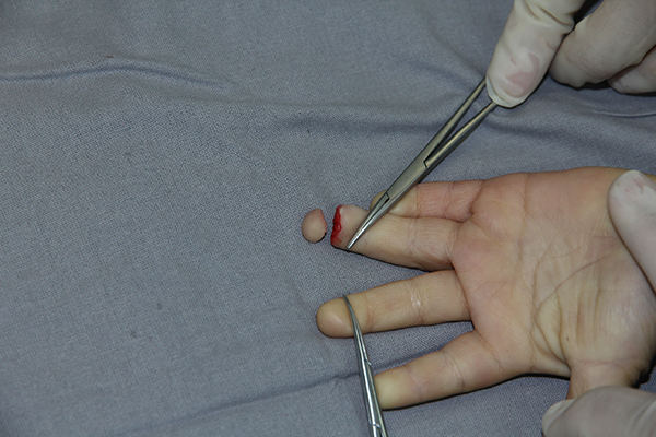 图片2.jpg 图片2.jpg