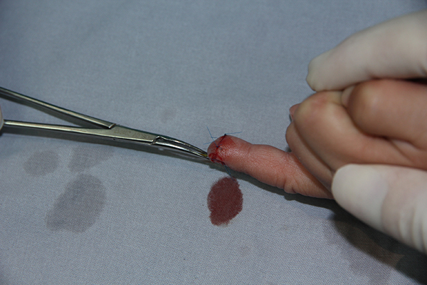 图片5.jpg 图片5.jpg