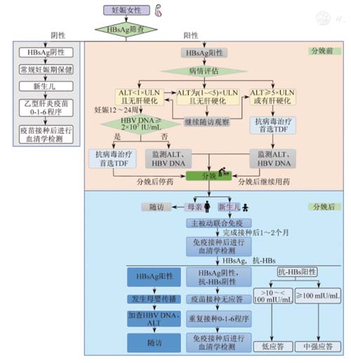 图片83.jpg 图片83.jpg