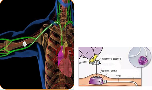 图片-3.jpg 图片-3.jpg