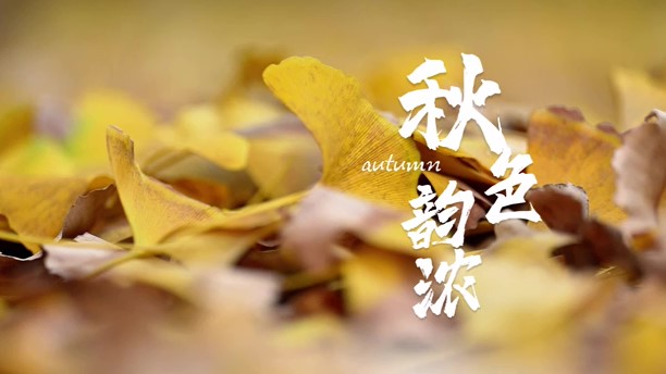 诗画省医《秋》